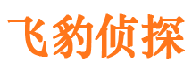 武功私家调查公司